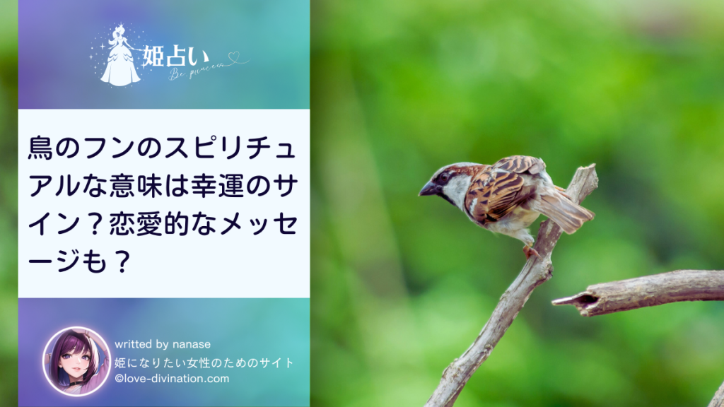 鳥のフンのスピリチュアルな意味は幸運のサイン？恋愛的なメッセージも？