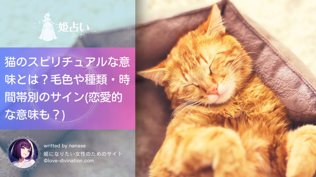 猫のスピリチュアルな意味とは？毛色や種類・時間帯別のサイン(恋愛的な意味も？)